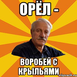 ОРЁЛ - ВОРОБЕЙ С КРЫЛЬЯМИ