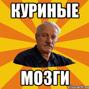 куриные мозги