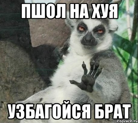 Пшол на хуя узбагойся брат, Мем Все будет збагойно