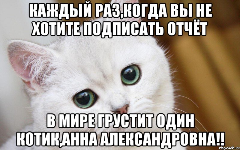 Каждый раз,когда вы не хотите подписать отчёт в мире грустит один котик,Анна Александровна!!