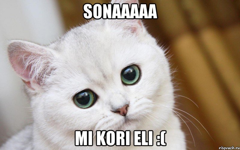 Sonaaaaa mi kori eli :(