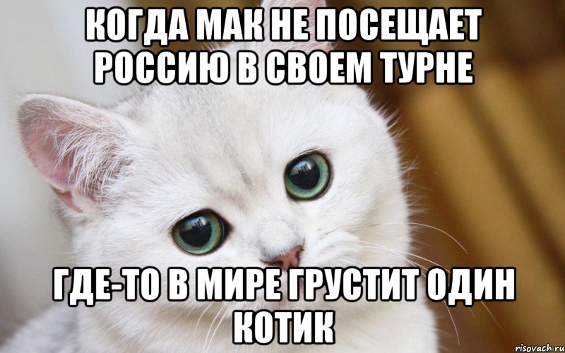 Когда Мак не посещает Россию в своем турне Где-то в мире грустит один котик, Мем  В мире грустит один котик