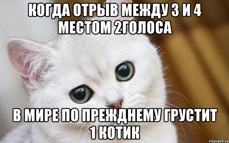 Когда отрыв между 3 и 4 местом 2голоса в мире по прежднему грустит 1 котик