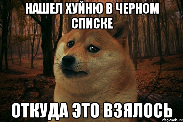 нашел хуйню в черном списке откуда это взялось, Мем SAD DOGE