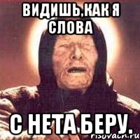 Видишь,как я слова с нета беру., Мем Ванга (цвет)