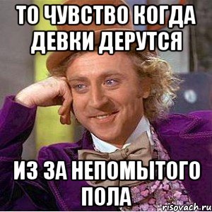 То чувство когда девки дерутся Из за непомытого пола, Мем Ну давай расскажи (Вилли Вонка)