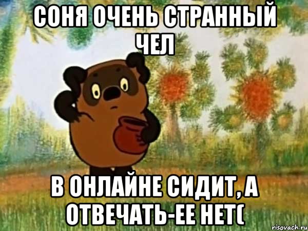 Соня очень странный чел в онлайне сидит, а отвечать-ее нет(, Мем Винни пух чешет затылок