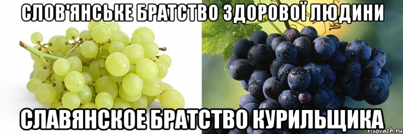 слов'янське братство здорової людини славянское братство курильщика