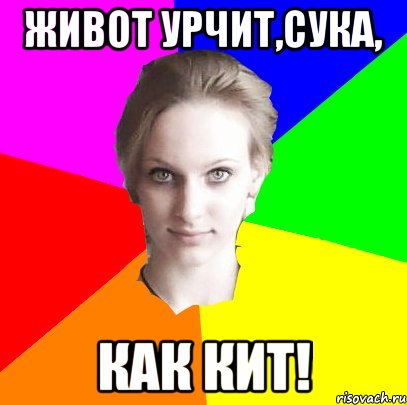 живот урчит,сука, как кит!