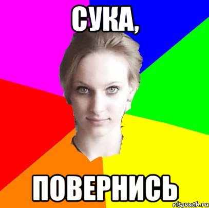 сука, повернись