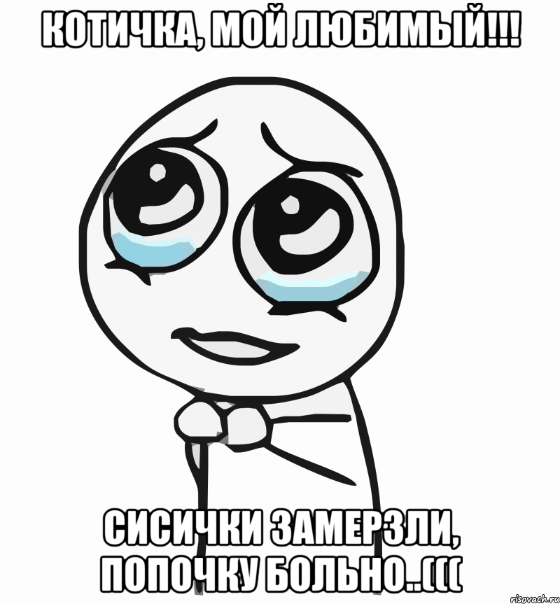 Котичка, мой Любимый!!! Сисички замерзли, попочку больно..(((, Мем  ну пожалуйста (please)