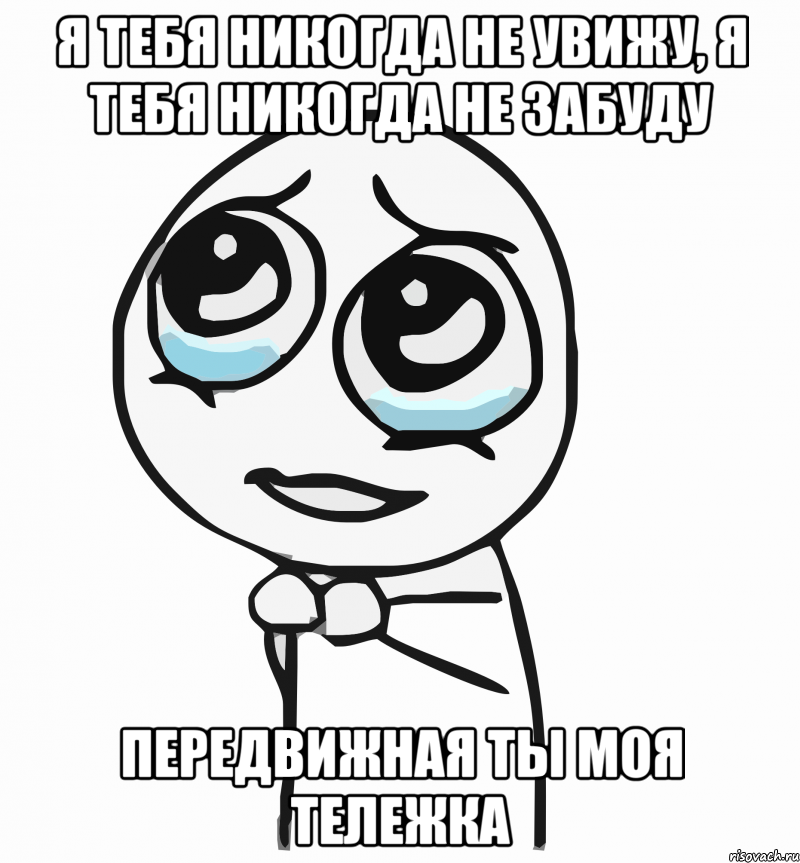 я тебя никогда не увижу, я тебя никогда не забуду передвижная ты моя тележка, Мем  ну пожалуйста (please)