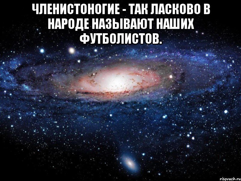 Членистоногие - так ласково в народе называют наших футболистов. , Мем Вселенная