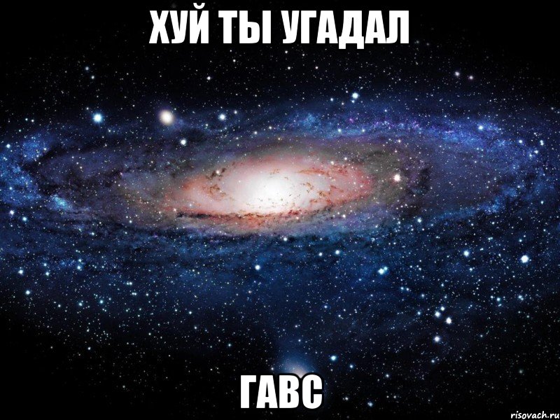 Хуй ты угадал Гавс, Мем Вселенная