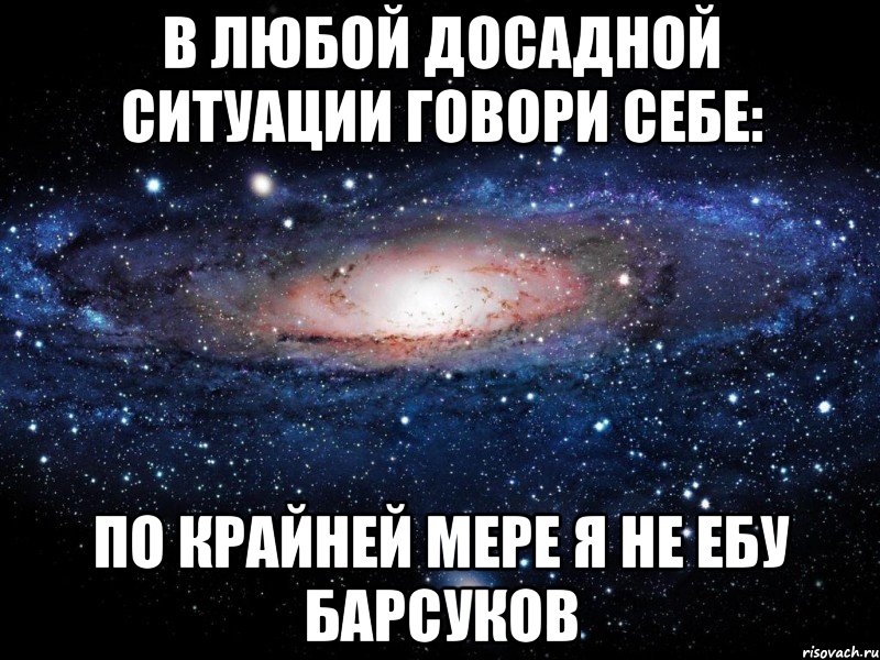 В любой досадной ситуации говори себе: по крайней мере я не ебу барсуков, Мем Вселенная