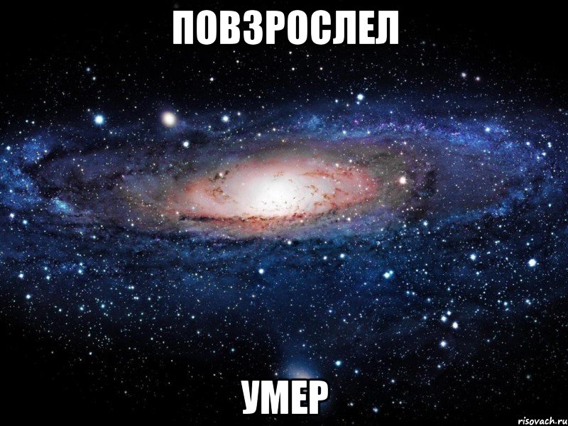 Повзрослел Умер, Мем Вселенная