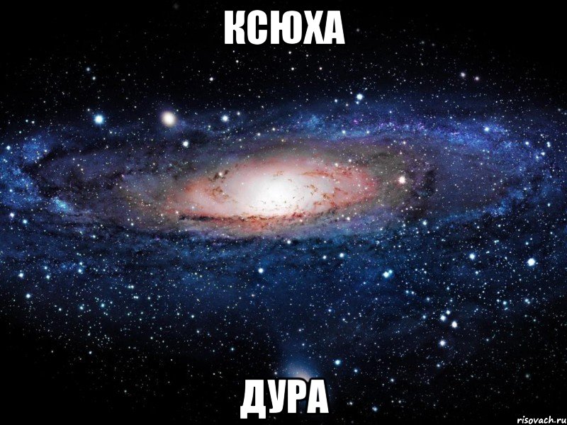 ксюха дура, Мем Вселенная