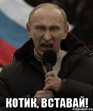  Котик, вставай!, Мем вставай
