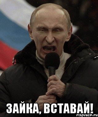  Зайка, вставай!, Мем вставай