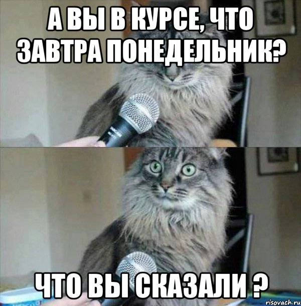 А вы в курсе, что завтра понедельник? Что вы сказали ?