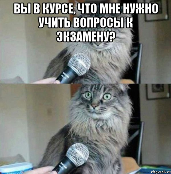Вы в курсе, что мне нужно учить вопросы к экзамену? 