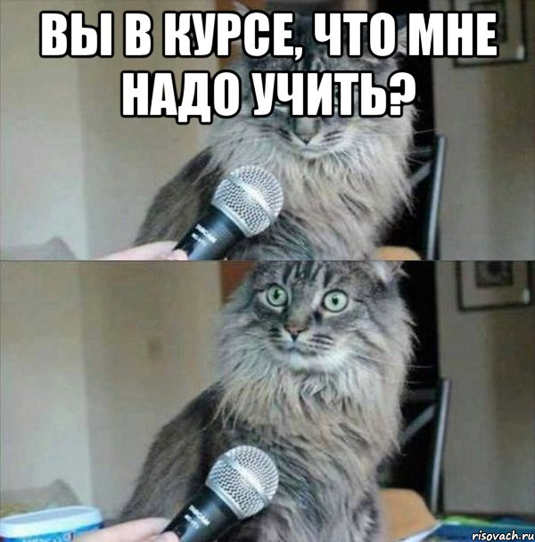 Вы в курсе, что мне надо учить? 