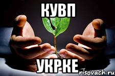 кувп укрке, Мем вырасти свое денежное дерево