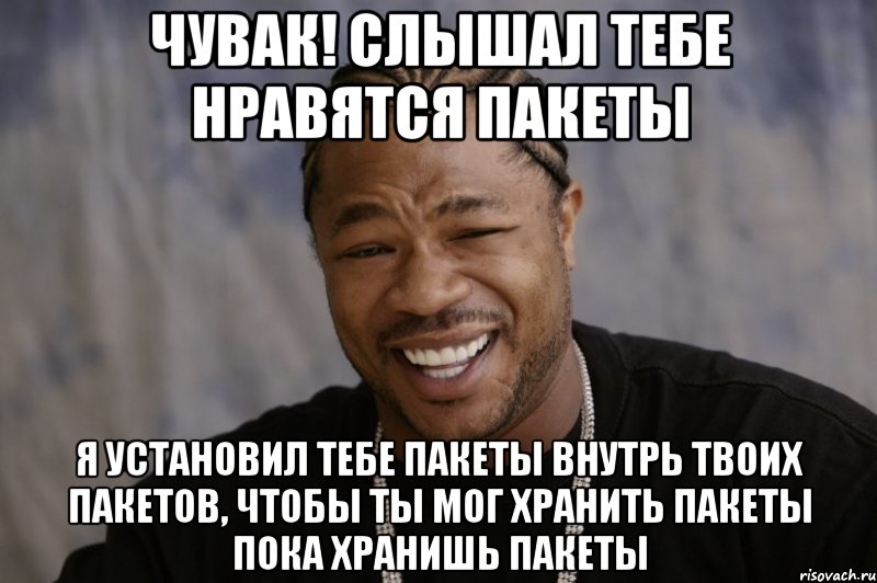 Чувак! Слышал тебе нравятся пакеты я установил тебе пакеты внутрь твоих пакетов, чтобы ты мог хранить пакеты пока хранишь пакеты, Мем Xzibit