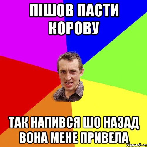 пішов пасти корову так напився шо назад вона мене привела, Мем Чоткий паца