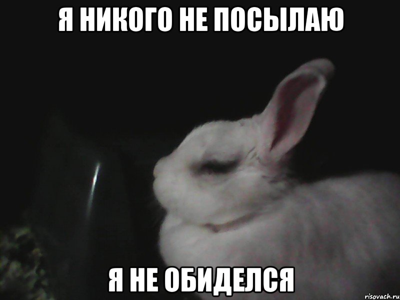 Я никого не посылаю Я не обиделся, Мем я не обиделась