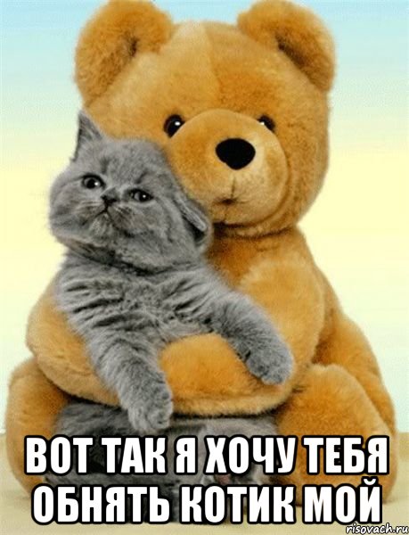 вот так хочу тебя обнять картинка онлайн вот так хочу тебя обнять картинка