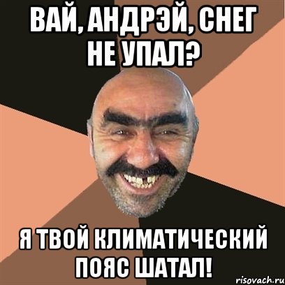 Вай, Андрэй, снег не упал? я твой климатический пояс шатал!, Мем Я твой дом труба шатал