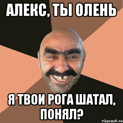 Алекс, ты олень Я твои рога шатал, понял?, Мем Я твой дом труба шатал