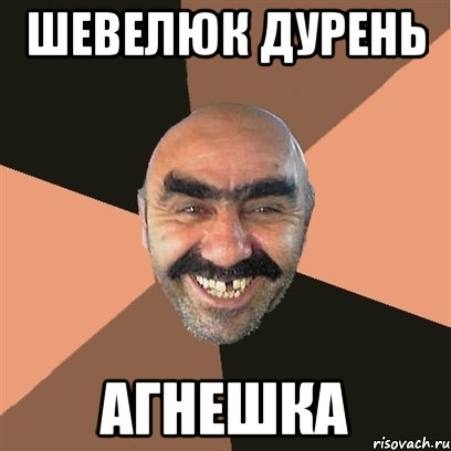ШЕВЕЛЮК ДУРЕНЬ АГНЕШКА, Мем Я твой дом труба шатал