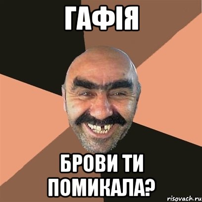 Гафія брови ти помикала?, Мем Я твой дом труба шатал