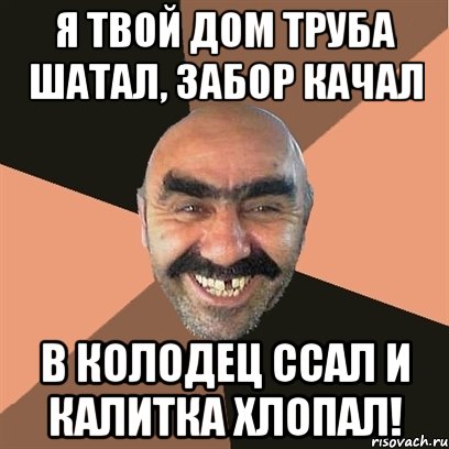 Я твой дом труба шатал, забор качал в колодец ссал и калитка хлопал!, Мем Я твой дом труба шатал