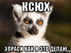 Ксюх зпраси как я это делаю, Мем Я збагоен