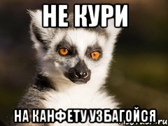 Не кури на канфету узбагойся, Мем Я збагоен