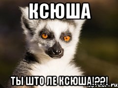 Ксюша ты што ле Ксюша!??!, Мем Я збагоен