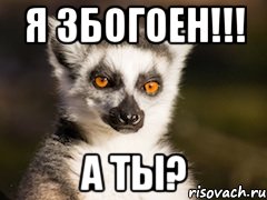 Я ЗБОГОЕН!!! А ТЫ?, Мем Я збагоен