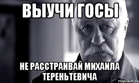 ВЫУЧИ ГОСЫ НЕ РАССТРАИВАЙ МИХАИЛА ТЕРЕНЬТЕВИЧА, Мем Не огорчай Леонида Аркадьевича