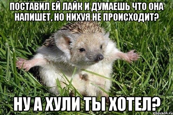 поставил ей лайк и думаешь что она напишет, но нихуя не происходит? ну а хули ты хотел?