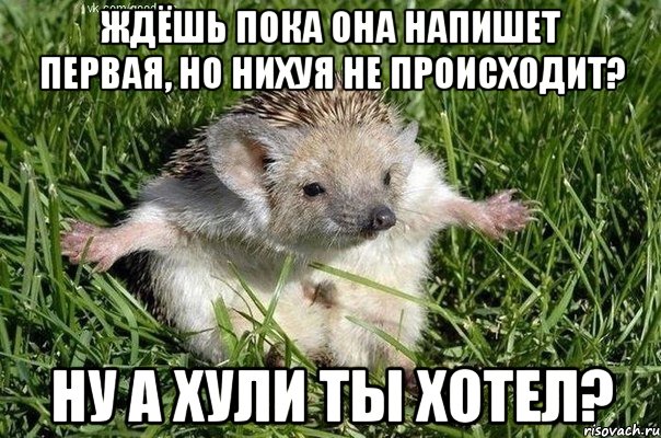 ждёшь пока она напишет первая, но нихуя не происходит? ну а хули ты хотел?