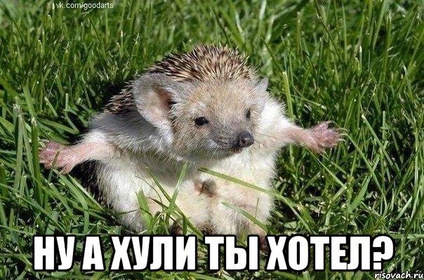  НУ А ХУЛИ ТЫ ХОТЕЛ?