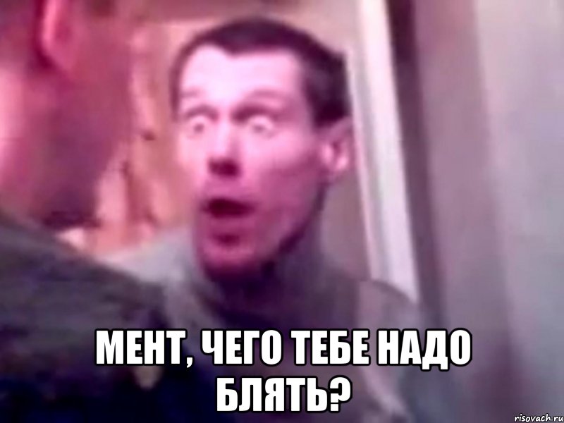  мент, чего тебе надо блять?