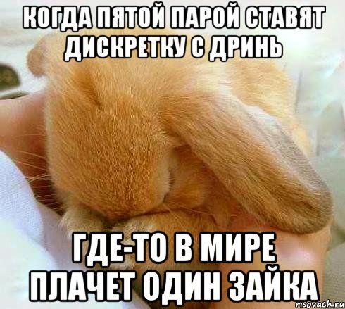 Когда пятой парой ставят дискретку с Дринь Где-то в мире плачет один зайка