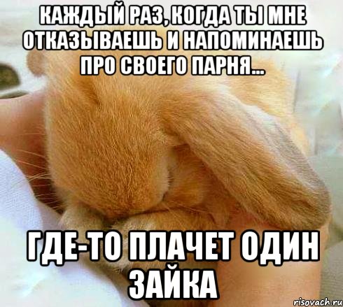 каждый раз, когда ты мне отказываешь и напоминаешь про своего парня... где-то плачет один зайка