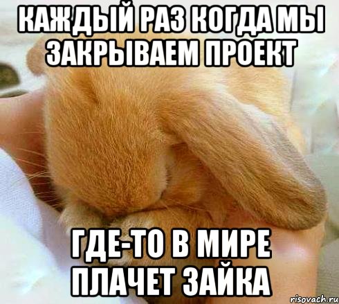 каждый раз когда мы закрываем проект где-то в мире плачет зайка