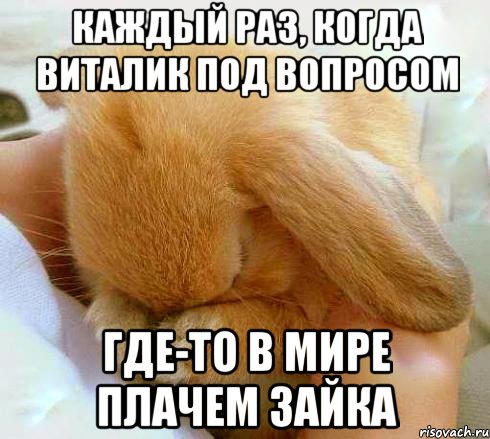 Каждый раз, когда Виталик под вопросом ГДЕ-ТО В МИРЕ ПЛАЧЕМ ЗАЙКА