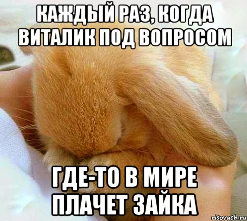 Каждый раз, когда Виталик под вопросом ГДЕ-ТО В МИРЕ ПЛАЧЕТ ЗАЙКА